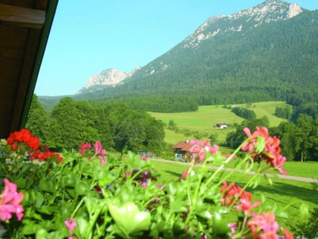 Staufenblick Roof Studio In The House Inzell 0*,  Germany
